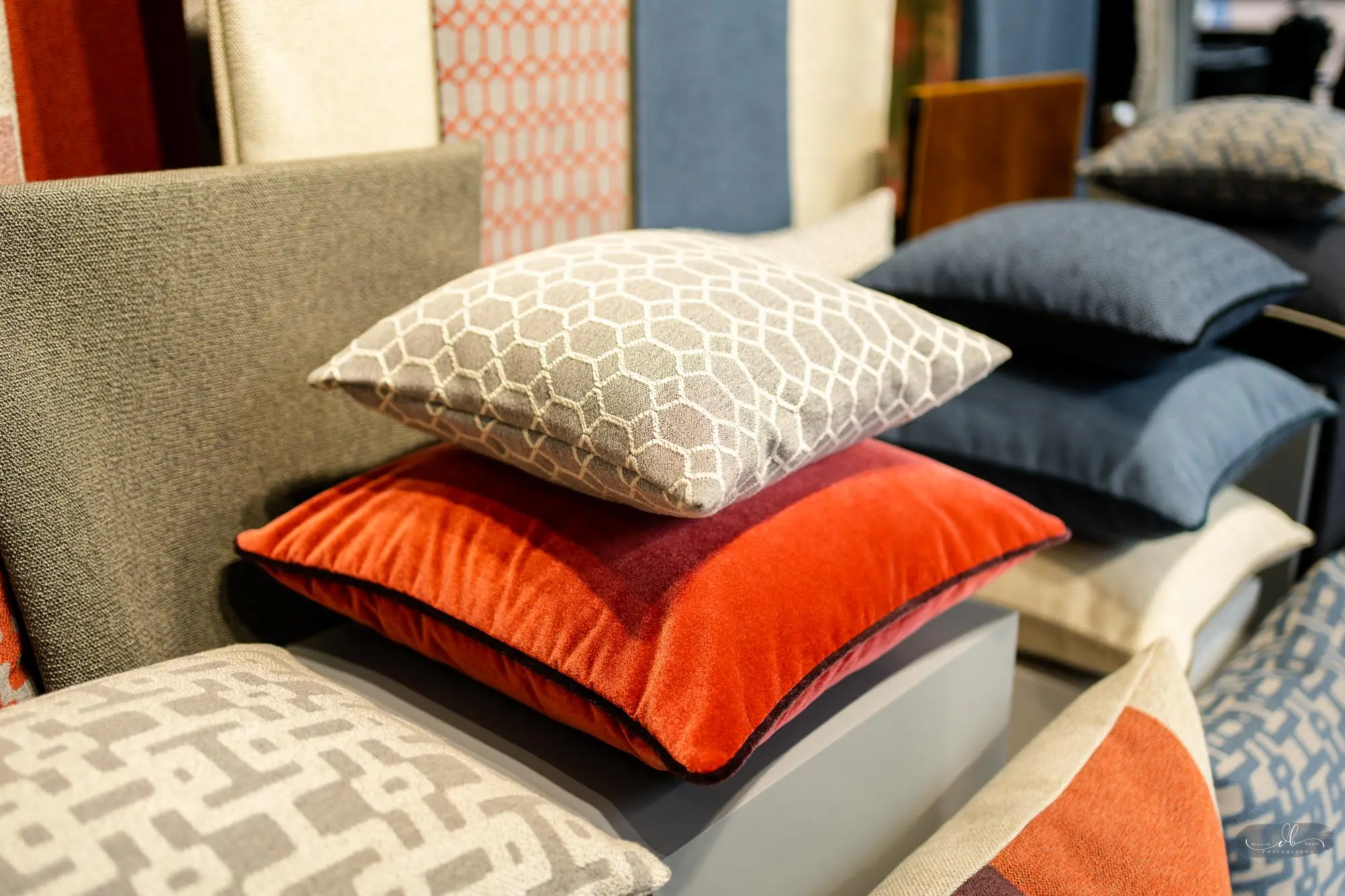 Rohleder Store Launch - Focus Motion Studio
