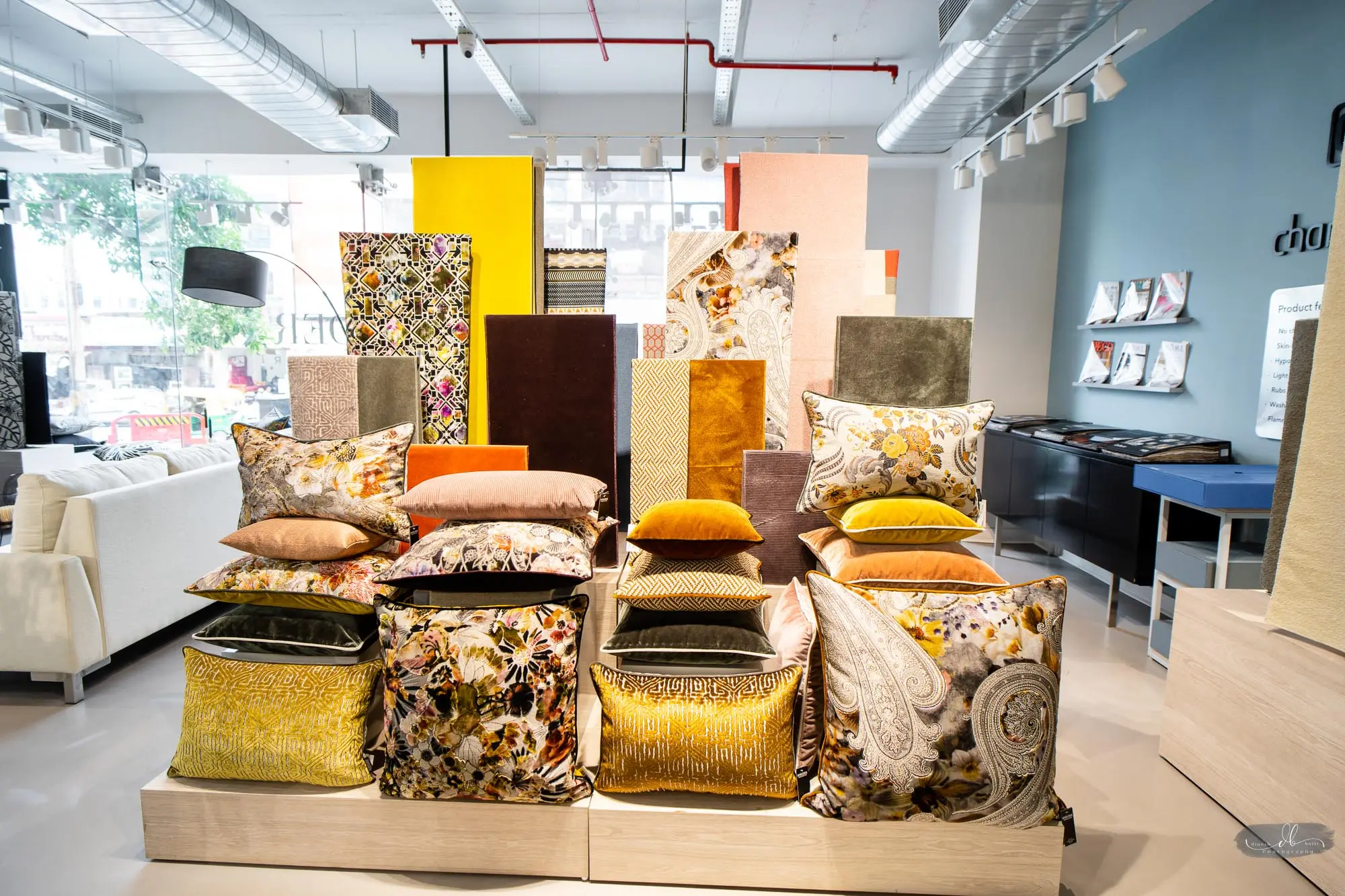 Rohleder Store Launch - Focus Motion Studio